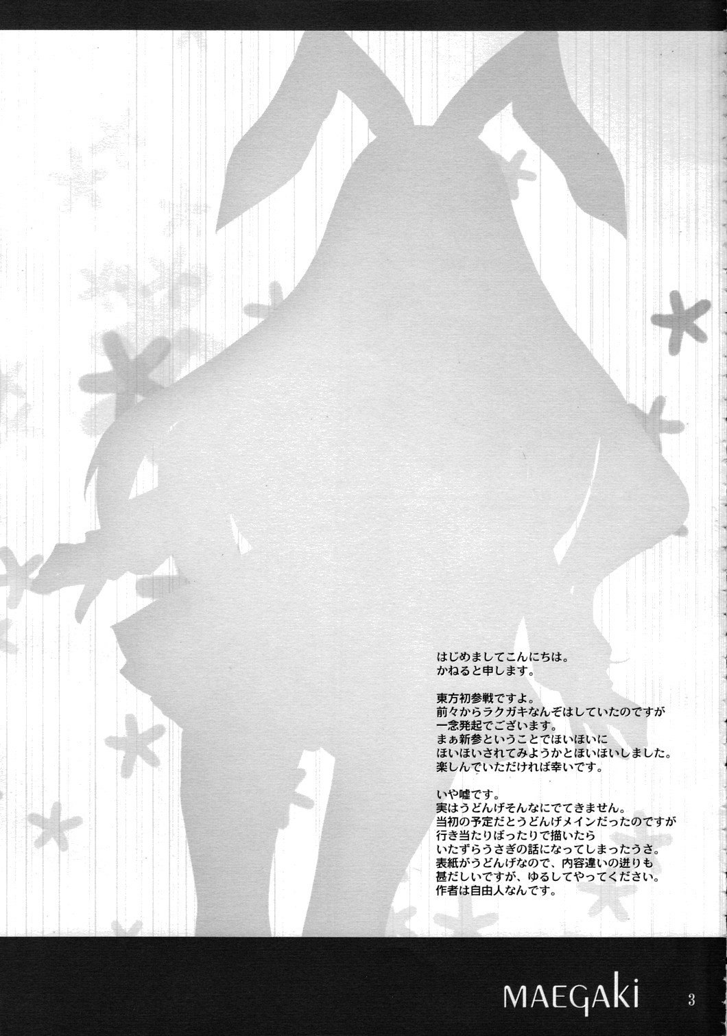 O-PANTS page 2 full