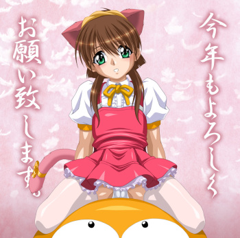 Akkan-Bi Project - Hirohiko Yanagi Special CG Jan-2006 cover