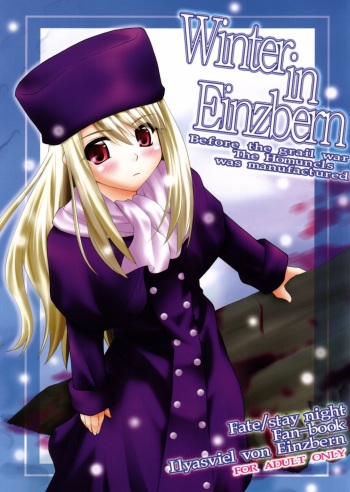 Winter in Einzbern cover