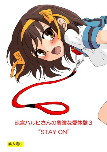 Suzumiya Haruhi-san no Kiken na Ai Taiken 3 cover