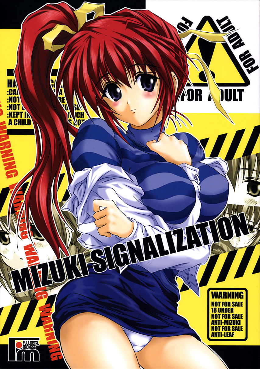 MIZUKI SIGNALIZATION page 1 full