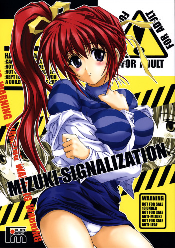 MIZUKI SIGNALIZATION cover