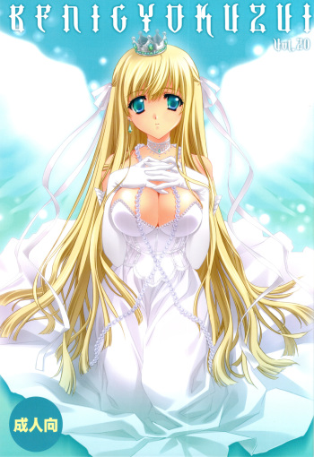 BENIGYOKUZUI vol. 20 cover