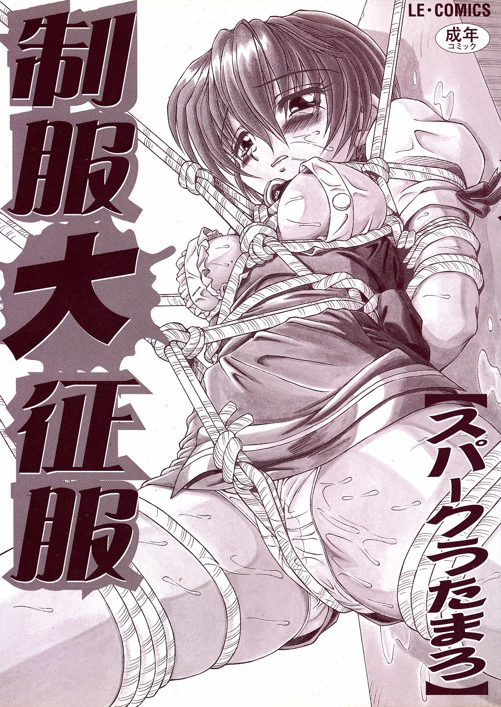 Spark Utamaro - Seihuku Dai Seihuku 2, 4-5, 8 page 4 full