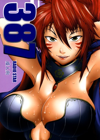 387 cover
