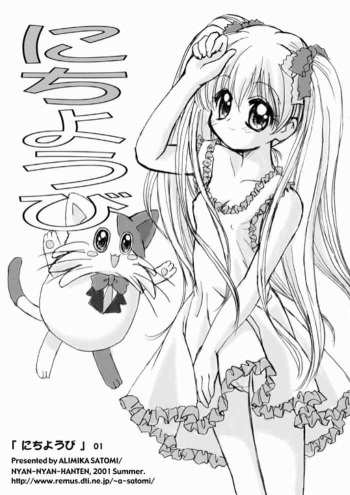 Nichiyoubi cover
