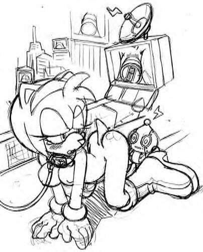 Amy Rose page 3 full