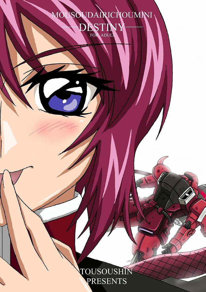 Mousou Dairi Chou Mini Destiny page 1 full