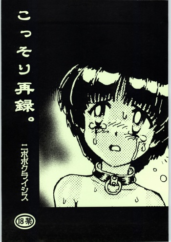 Kossori Sairoku. cover