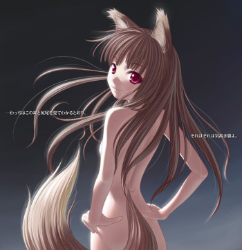 Spice and Wolf pics 1 cover