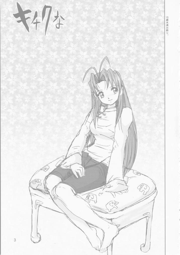 Kichikuna page 3 full