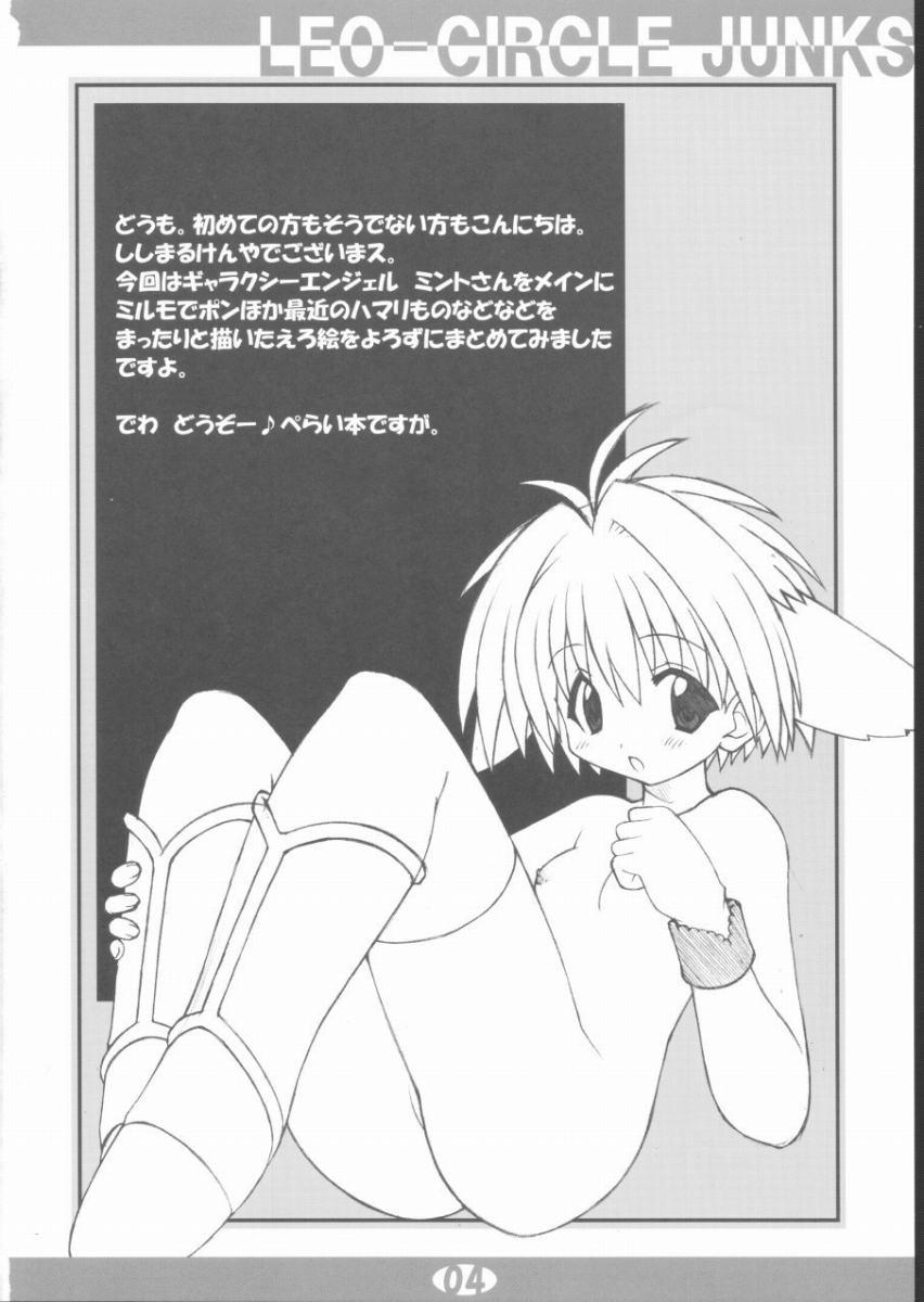 LEO-CIRCLE JUNKS page 3 full