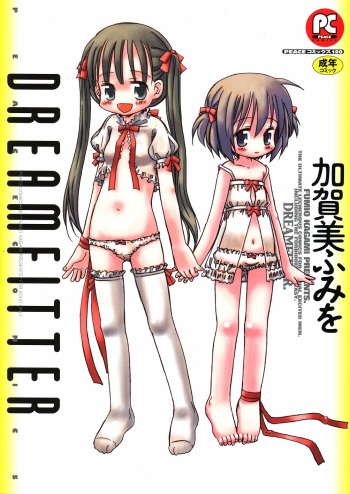 DREAM FITTER cover