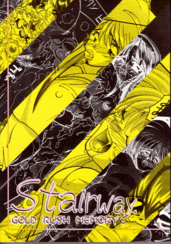 Stairway cover