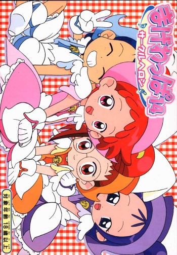 Magewappa 14 cover