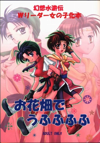 Suikoden - Rivatactionni cover