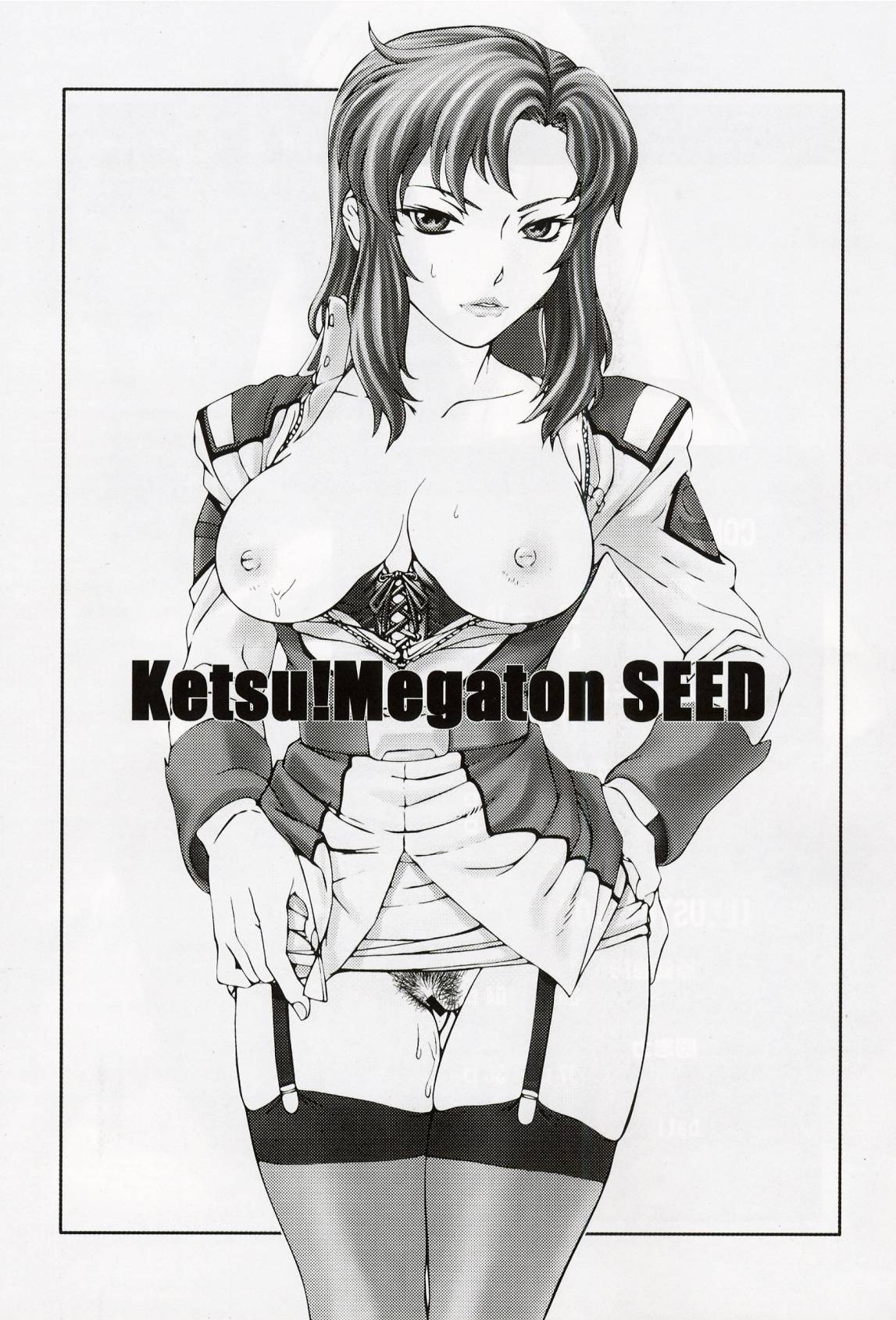 Ketsu Megaton Seed page 2 full