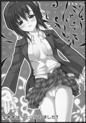 Expert ni Narimashita! ON MONOCLOME cover