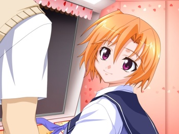 Kisekae Fetish! cover