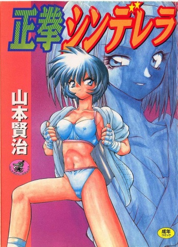Seiken Cinderella cover