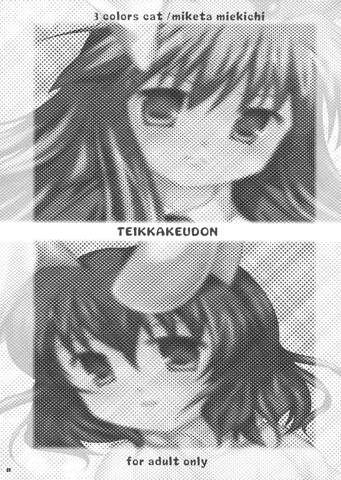 Teikkakeudon page 3 full