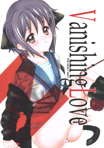 Vanishing Love cover