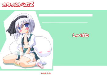 Ochikko Youmu 2 cover