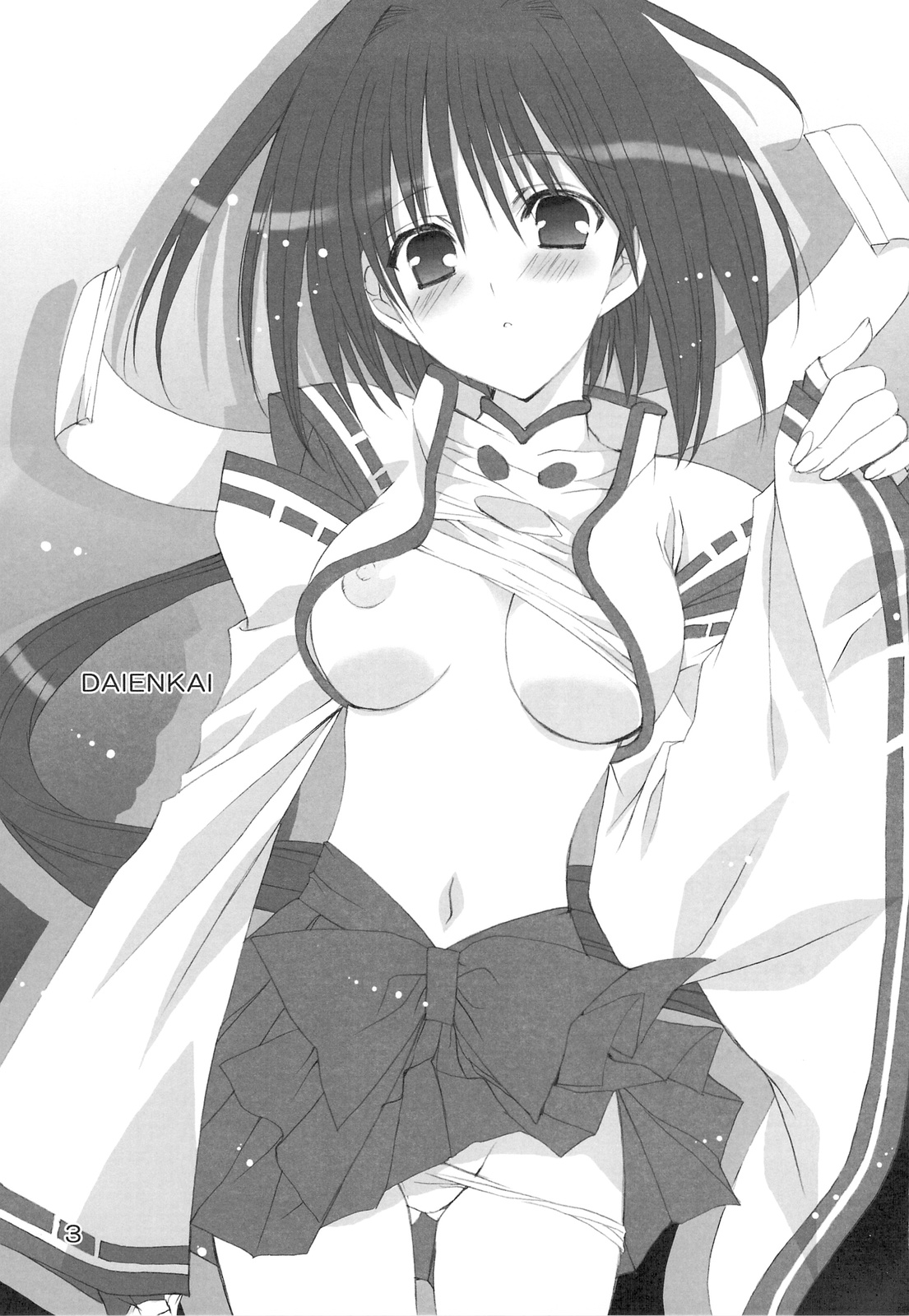 Daienkai page 2 full