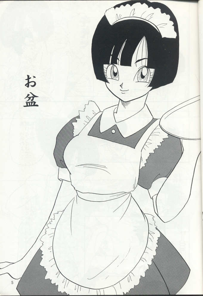 ZZ page 5 full