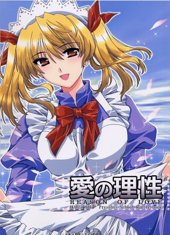 Ai no Risei - Reason of Love cover