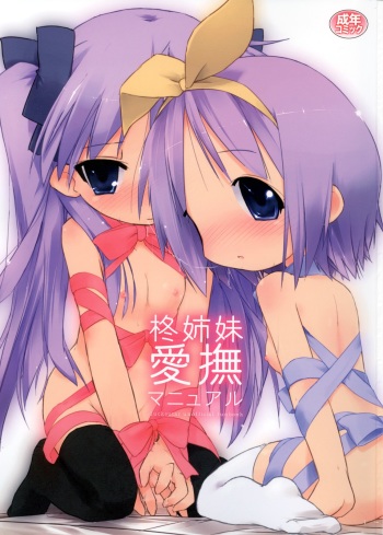 Hiiragi Shimai Aibu Manual cover
