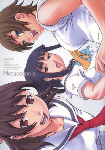 Metasequoia cover