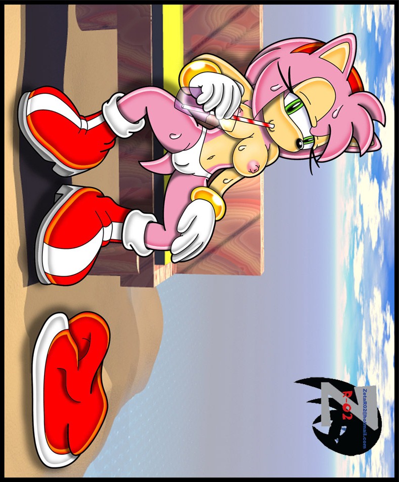 Amy Rose page 7 full