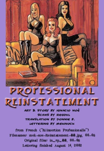 Professional Reinstallment cover