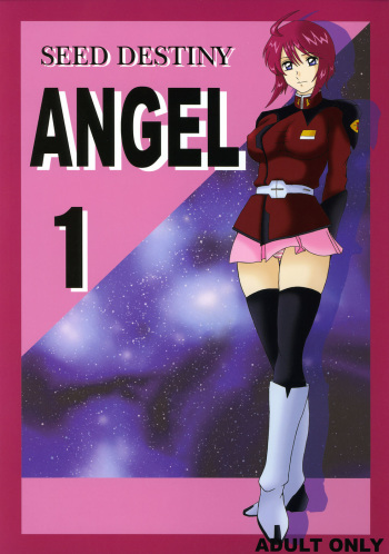 SEED DESTINY ANGEL 1 cover