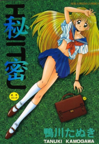 Himitsu cover