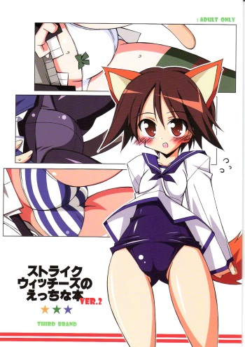 Strike Witches no Ecchi na Hon VER.2 cover