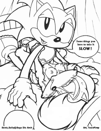 Sally Acorn cover