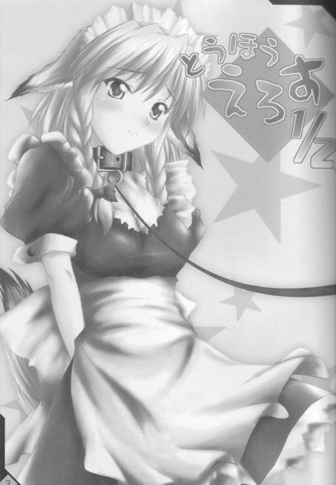 Touhou Eros 1/2 page 2 full