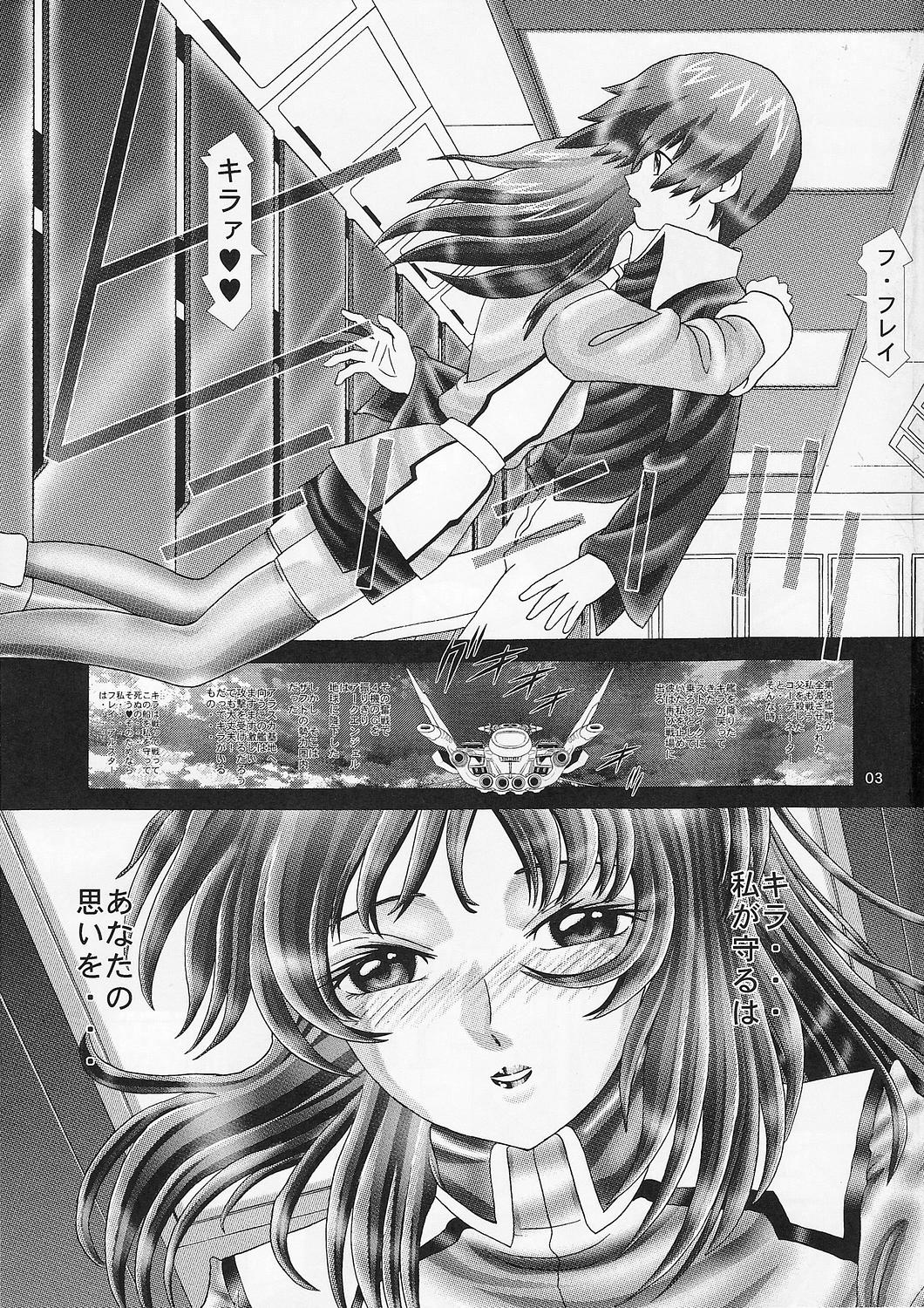RANDOM NUDE Vol.3 - Flay Allster page 2 full