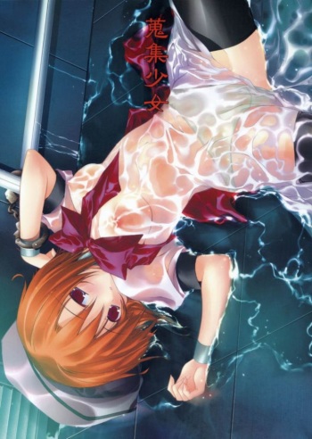 Shuushuu Shoujo cover