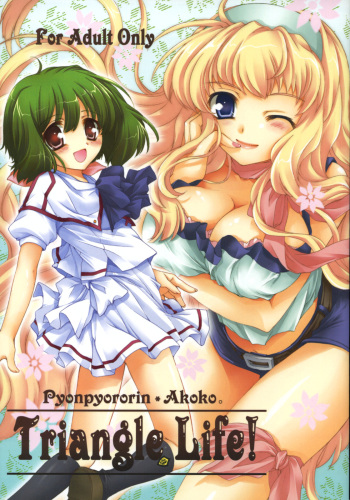 Triangle Life! cover