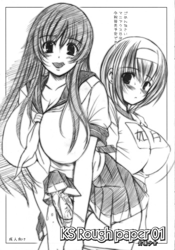 KS Rough paper 01 cover