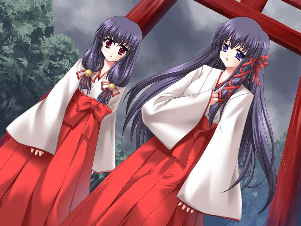 Kyou no Okazu: Kegasareta Miko Shouzoku ～ Nakadashi Houjou Hakudakumatsuri page 3 full