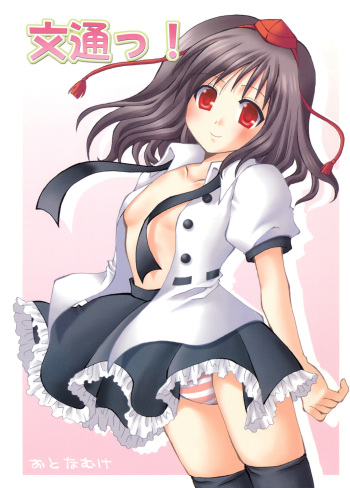 Buntsuu! cover