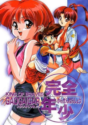 Kanzen Nenshou King of Braves GaoGaiGar cover