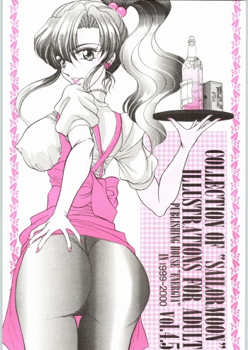 COLLECTION OF -SAILORMOON- ILLUSTRATIONS FOR ADULT Vol. 4.5 cover