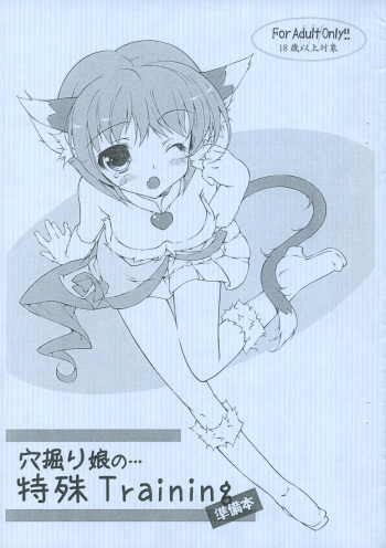 Anahori musume no... tokushu Training Jumbigou cover