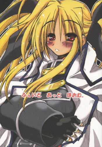 Fate at Home. cover