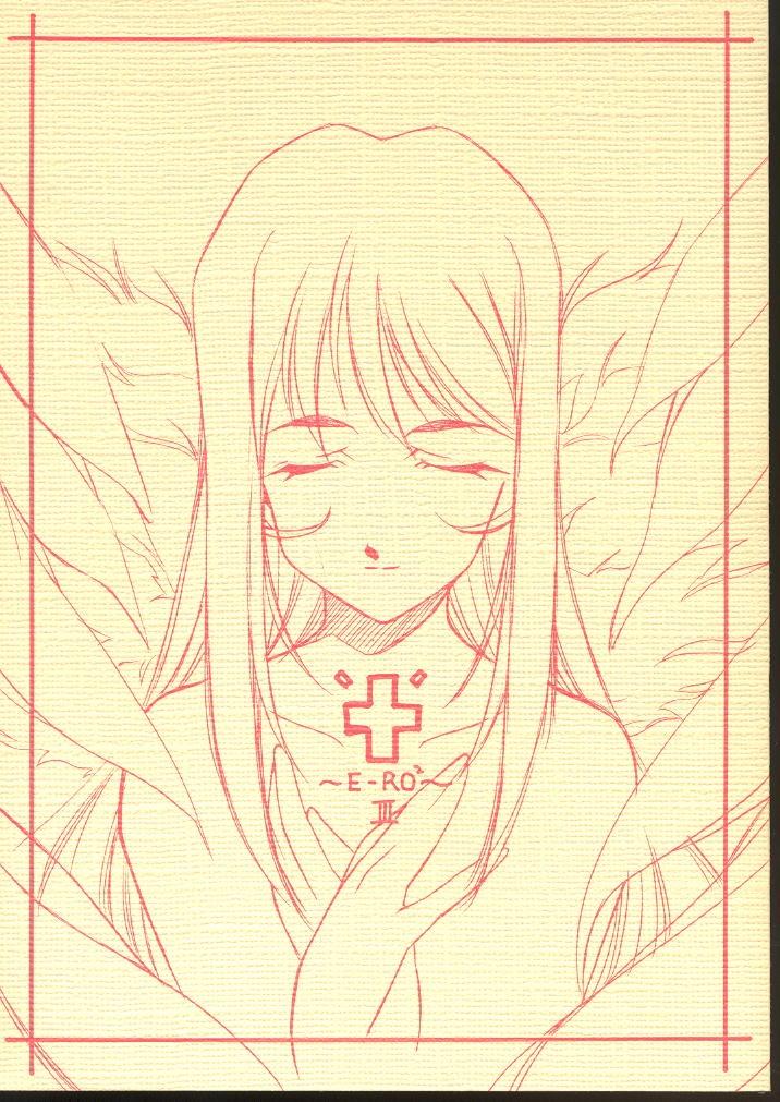 E-RO² III page 1 full